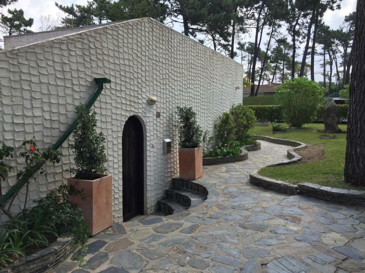 Ofir Beach House Bonanca Esposende Exteriör bild